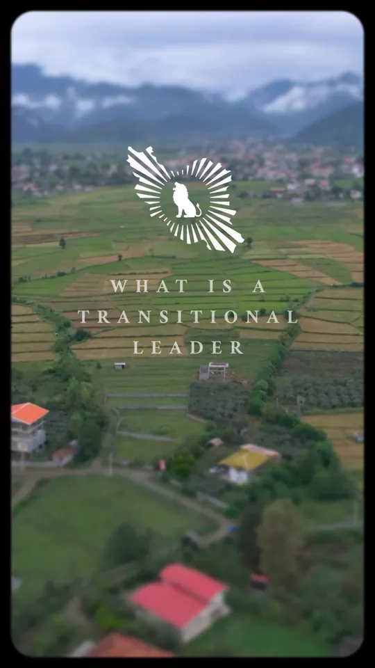 What Is a Transitional Leader?
